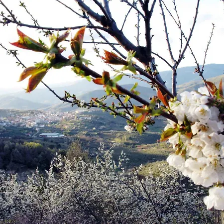 Leonor Con Piscina Privada * Casar de Palomero