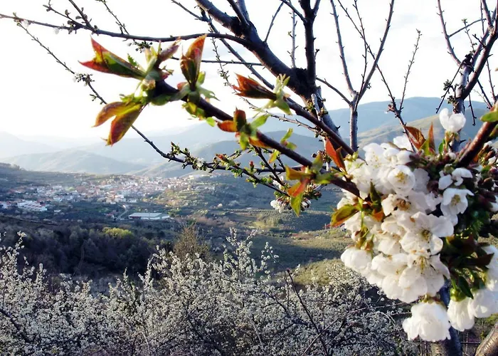 Leonor Con Piscina Privada * Casar de Palomero